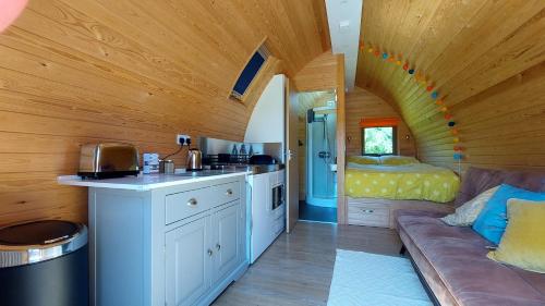 特鲁罗Robin- Ensuite Glamping Pod的一间厨房和客厅,位于一个小房子里