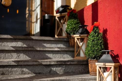 蒂蒂湖-新城Hotel zum See, Titisee的一套有盆栽植物和灯的楼梯