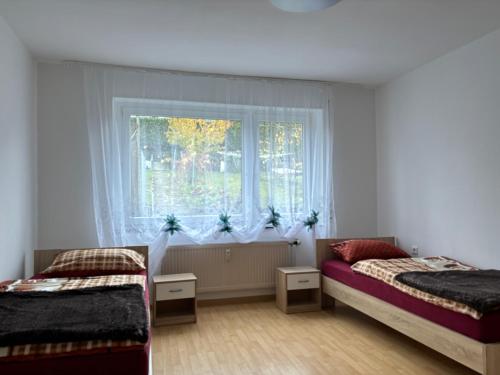 普福尔茨海姆Ferienwohnung Grimm的一间卧室设有两张床和窗户。