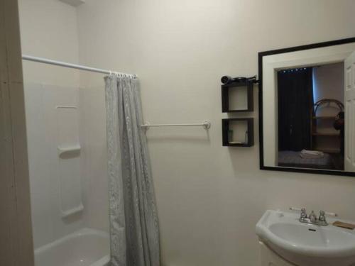 圣约翰斯Jelly Bean 1的带淋浴、盥洗盆和镜子的浴室