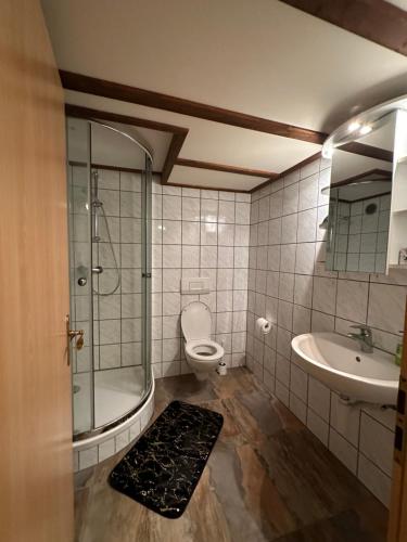 弗里堡Bnb des Epouses的带淋浴、卫生间和盥洗盆的浴室