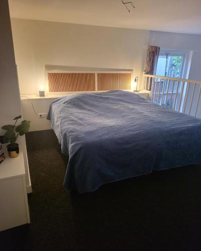 兹沃勒Stadslogement Goudsteeg 19B的一间卧室配有一张带蓝色毯子的大床