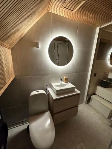 列维Levi Aurora Sky的一间带卫生间、水槽和镜子的浴室