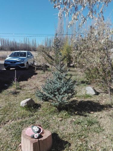 马拉圭dormi La familia的汽车旁的树桩上的小圣诞树