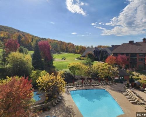 Vernon TownshipCozy Mountain View Condo的享有带游泳池的房屋的空中景致