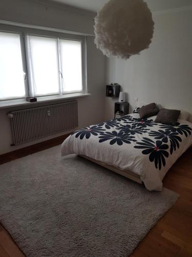 DuppigheimJoli appartement calme et spacieux, proche Strasbourg的一间卧室设有一张床和两个窗户。