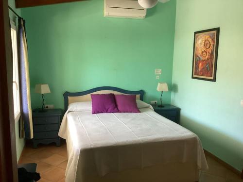蓬塔普里马Villa Eclipse的蓝色卧室配有一张带紫色枕头的床