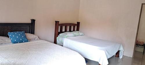 比加瓜Paradise Rio Celeste 2的一间卧室,配有两张床