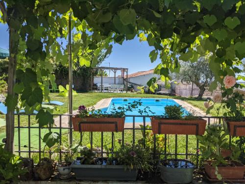 萨尔瓦特拉都伊克姆福尔诺之家酒店的一座种植了盆栽植物的庭院里的一个游泳池