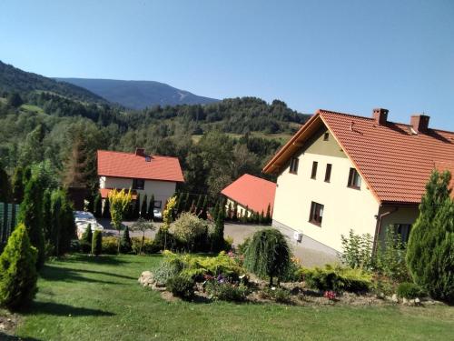 KamiennaAgroturystyka u Rysia的一座红色屋顶的房子和一个院子