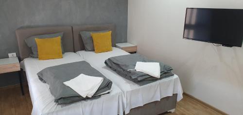 Apartmani Stara Skola的客房内的两张床、枕头和电视