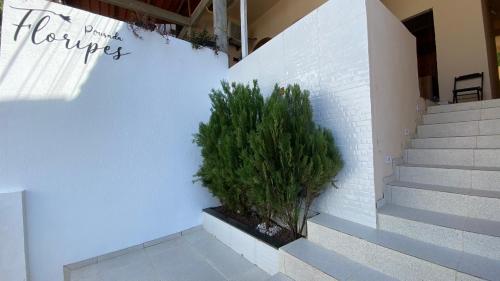 莫罗圣保罗Pousada Floripes的楼梯旁种植园里的植物