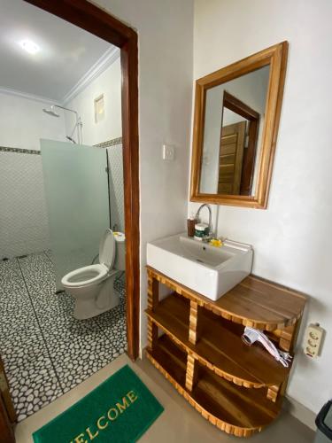 珀尼达岛Gamat Garden Homestay的一间带水槽、卫生间和镜子的浴室