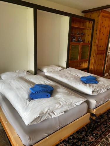 库尔瓦尔登Alpine Cocoon的客房内的两张床和蓝色枕头