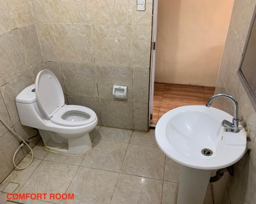 莫龙Hana Natsu Resorts Beach & Hotel的一间带卫生间和水槽的浴室