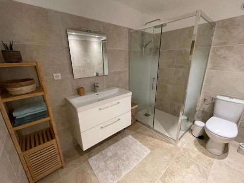 卡罗Bas de villa avec accès piscine près de Nice Cannes Monaco的浴室配有卫生间、淋浴和盥洗盆。