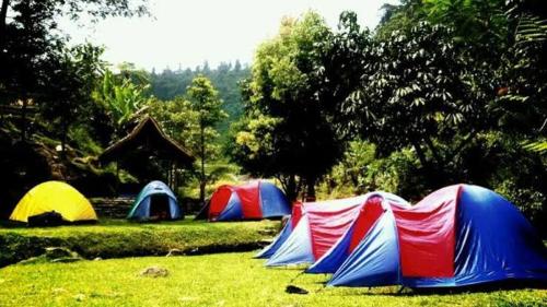 武吉丁宜CAMPING GROUND的一群帐篷坐在草地上