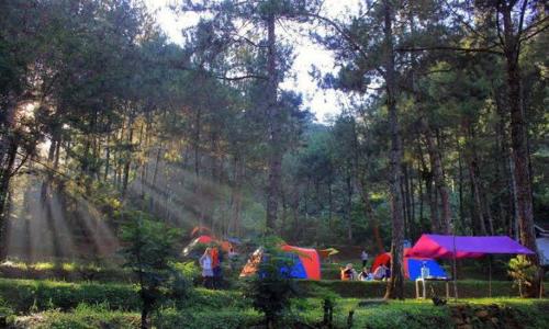 武吉丁宜CAMPING GROUND的一群人住在森林里,有帐篷