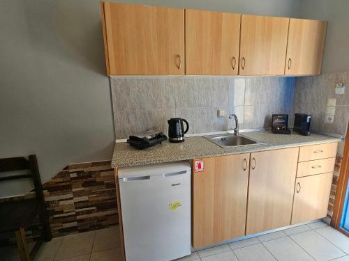 锡基诺斯岛Galini Apartments Sikinos Travel的一间带水槽和冰箱的小厨房