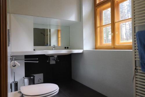 因斯布鲁克Haus Tanegg的浴室配有白色卫生间和盥洗盆。
