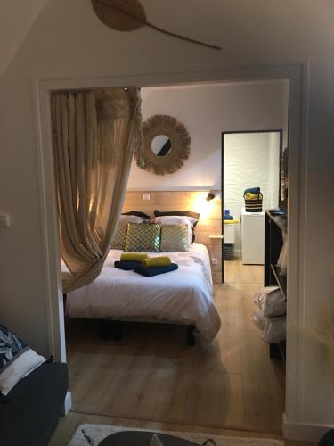 普瓦捷Cosy & Tendance Spa的一间卧室配有一张床和一面大镜子