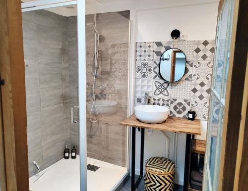 博韦LA PETITE BEAUVAISIENNE的带淋浴、盥洗盆和镜子的浴室