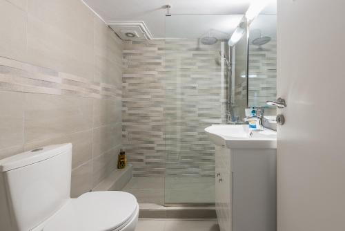 雅典Ioannis Cozy Apartment 500 meters from Acropolis museum的浴室配有卫生间、盥洗盆和淋浴。