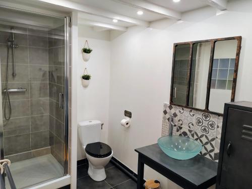 博韦LA PETITE MAISON的带淋浴、卫生间和盥洗盆的浴室