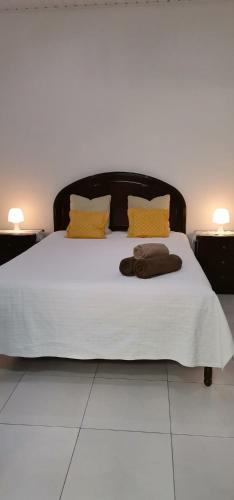 丰沙尔Tiny House Funchal的一张带两个枕头的白色床和两盏灯