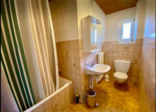 CouvetAppartement的浴室配有卫生间、盥洗盆和淋浴。