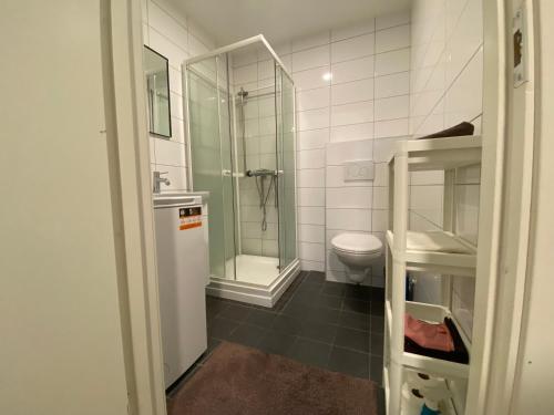 卑尔根Your Dream Studio in Bergen的一间带卫生间和玻璃淋浴间的浴室