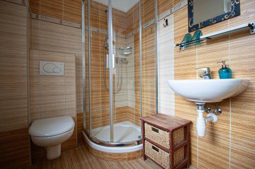 鲁哈科维斯Penzion Anebel的带淋浴、盥洗盆和卫生间的浴室