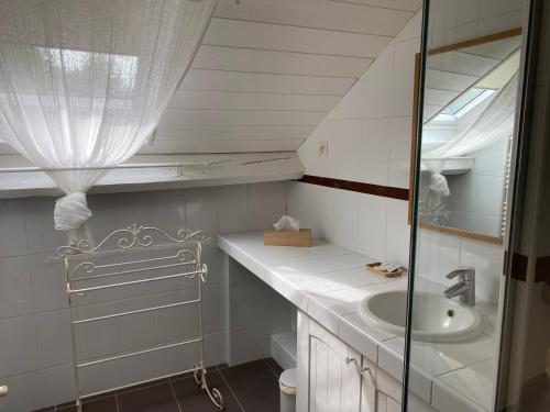 蒙福尔拉莫里LA THEBAUDERIE的一间带水槽和镜子的浴室