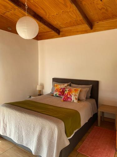 安加罗阿Oasis Rapanui Bungalow frente al Mar的一间卧室配有一张大床和两个枕头