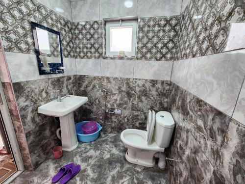 甘贾Michael House的一间带卫生间和水槽的浴室