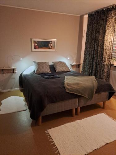 克拉姆福什Klockestrandstugan-Höga kusten的一间卧室配有一张大床和两个枕头