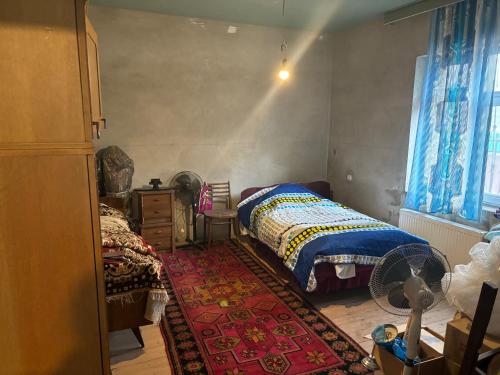 苏姆盖特Vilage的卧室配有床、风扇和地毯。