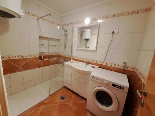 采列Charming Celje City Center Apartment的一间带洗衣机和水槽的浴室