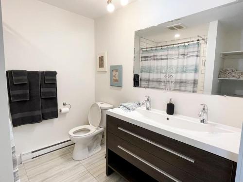 魁北克市Confo28 Chute Montmorency Parking的一间带水槽、卫生间和镜子的浴室