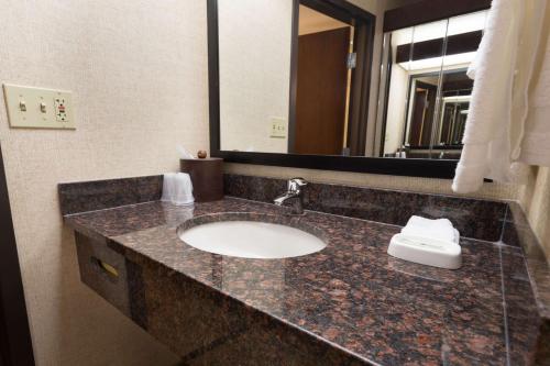 尚佩恩德鲁里香槟套房酒店 的浴室的柜台设有水槽和镜子
