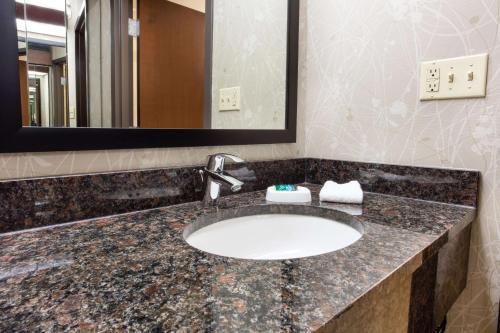堪萨斯城德鲁里套房酒店堪萨斯城机场店的一间带水槽和镜子的浴室