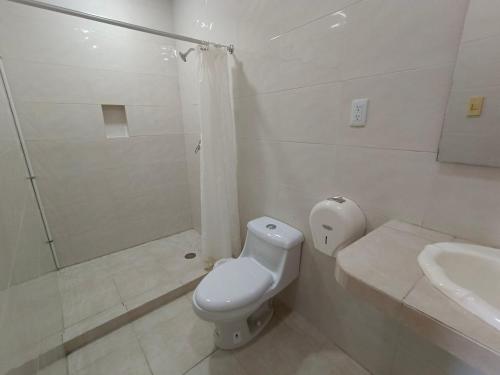 韦拉克鲁斯Hotel Playa de Oro - Enfrente de WTC y Plazas Comerciales的浴室配有卫生间、淋浴和盥洗盆。