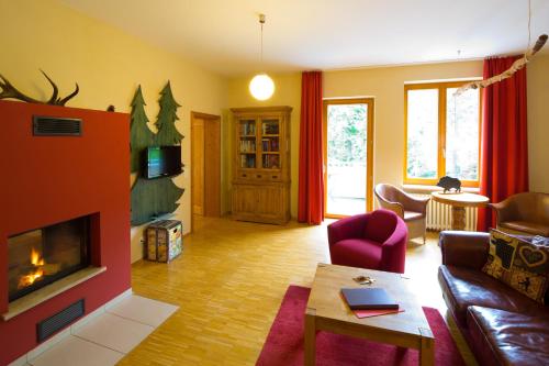 巴特哈尔茨堡普琳布斯艾赫斯酒店的带沙发和壁炉的客厅