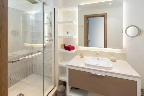 蒙舒瓦西LUX APPARTMENT GOLF DE MONT CHOISY的一间带水槽和淋浴的浴室