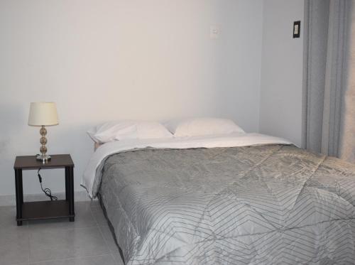 卢那欢纳El Valle Lunahuaná的一间卧室配有一张床和一个带灯的床头柜