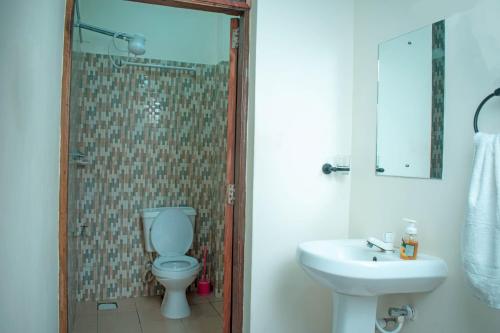 基利菲Unique Homes One- Bedroom Apartment的浴室配有卫生间、盥洗盆和淋浴。
