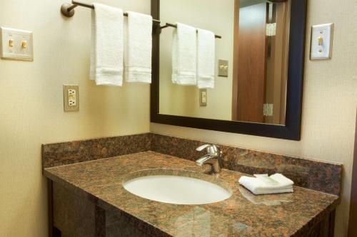 圣安东尼奥圣安东尼奥机场梨树酒店的浴室配有盥洗盆、镜子和毛巾