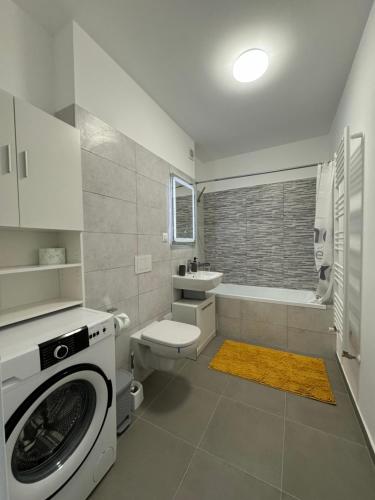特尔古穆列什LUNA Apartments B18的一间带洗衣机和卫生间的浴室