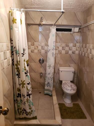 ArimaMango Vert Apartment的一间带卫生间和浴帘的小浴室