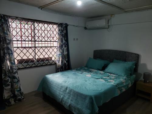 ArimaMango Vert Apartment的一间卧室配有一张带蓝色床单的床和一扇窗户。